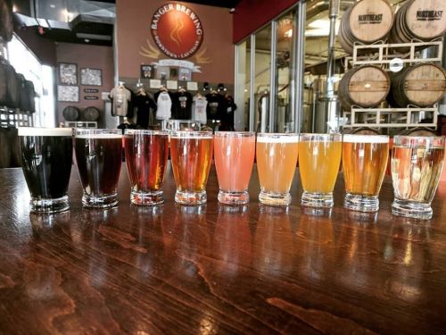 different craft beers of banger brewing